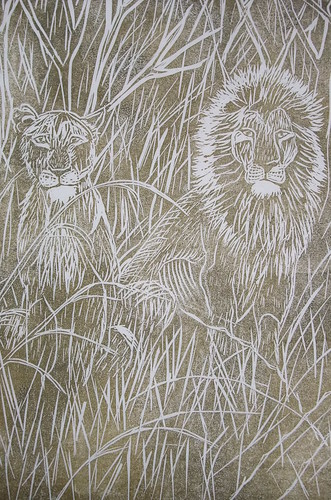 lions in grass
