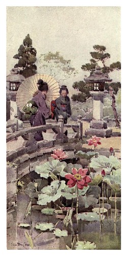 025- Flores de loto-The flowers and gardens of Japan (1908)-  Ella Du Cane