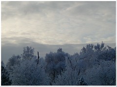 winterwonderland II