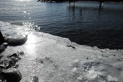 Icy Water Edge