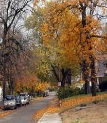 a residential street in Indy's SG district (courtesy AIA)