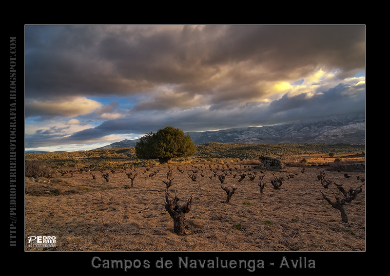 Campos de Navaluenga - Avila