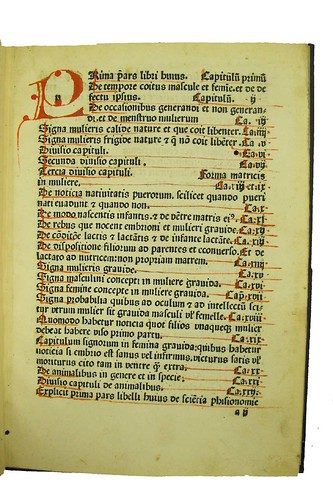 Manuscript initial in Michael Scotus: Liber physiognomiae (Sp Coll Ferguson Ak-a.41)
