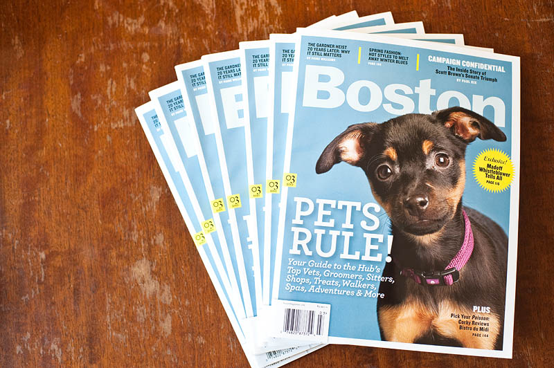 Boston Magazine, March 2010 pet issue