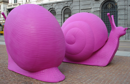 01_pink-snails-1