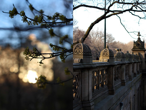 Diptych-Central Park