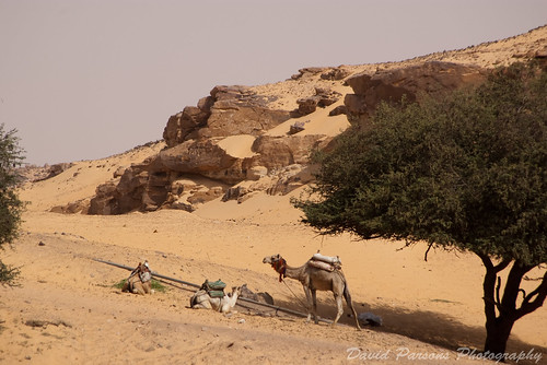Aswan Felucca ride