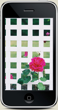 free iphone wallpaper summer 2010