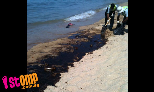  Cleaners work desperately to clean up oily mess at East Coast beach