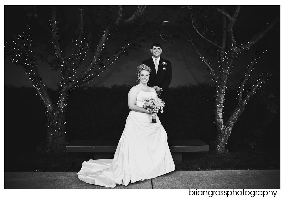 brian_gross_photography bay_area_wedding_photorgapher Crow_Canyon_Country_Club Danville_CA 2010 (19)
