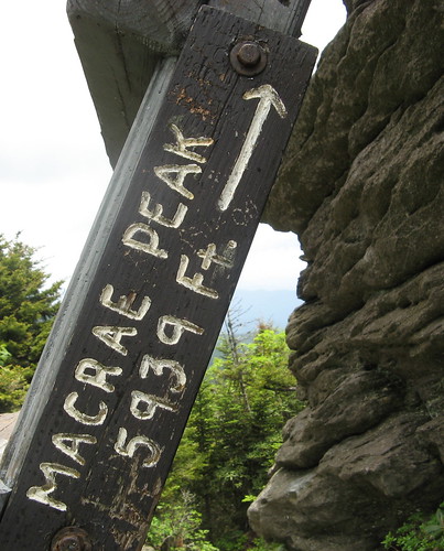 Ladder to MacRae Peak