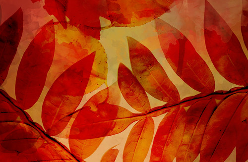 autumn desktop wallpapers. Free Autumn Desktop Wallpaper