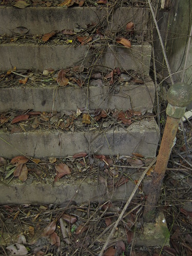 Leaf-littered stairs