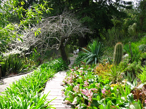 Cazadero Garden