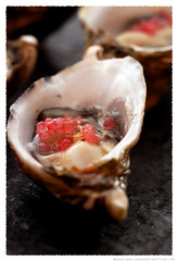 Kumamoto Oysters©  by Haalo