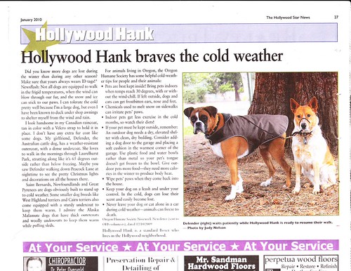 Hollywood Hank January 2010