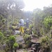 Trekking at Mt Kenya NP