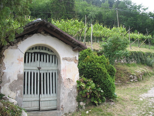 Kapelle am Wegesrand inmitten von Weingütern