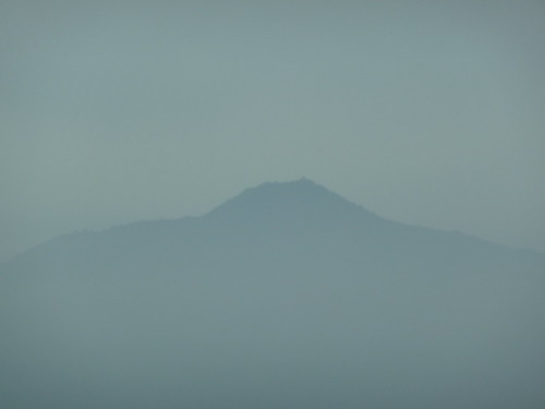 Mount Tam on a Winter Mornin'
