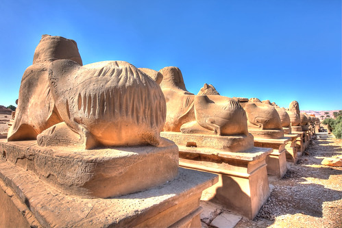 Pilgrim Gouges Avenue of the Sphinxes