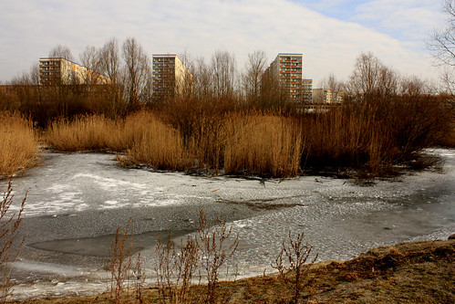 Icy pond and flats