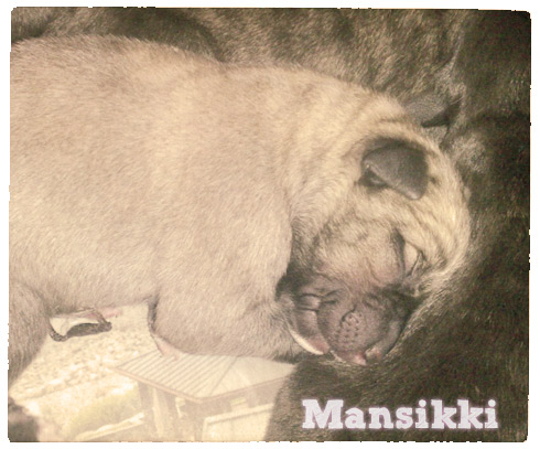Mansikki' first day