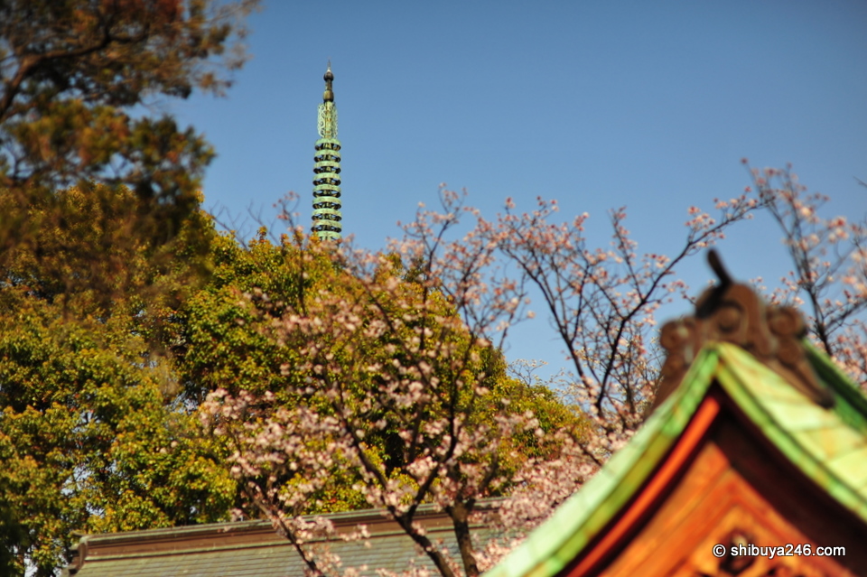 A view of the Five Story Pagoda in the background from the grounds of Toshogu Shrine.