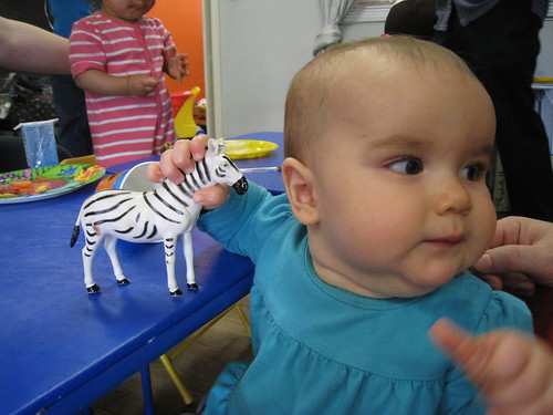 Lucy shared her cake with the zebra.