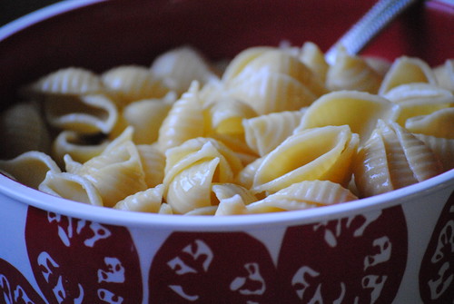 Seashell pasta recipe