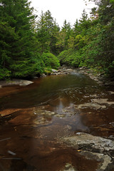 Big Stonecoal Creek