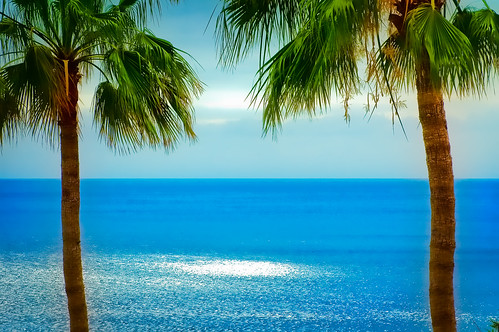 フリー写真素材|自然・風景|海|樹木|やしの木|カナリア諸島|