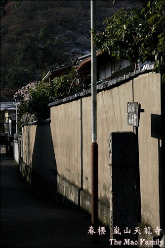 京都嵐山 天龍寺