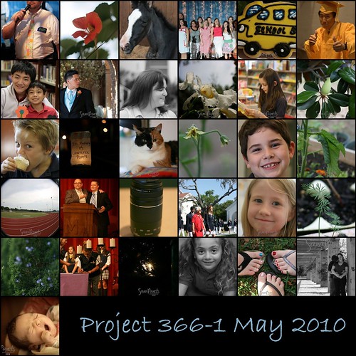 Project 3661 May 2010 Mosaic-1