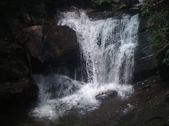  Dukes Creek Falls 1