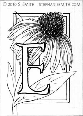E is for Echinacea