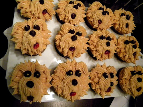Puppy Cupcakes