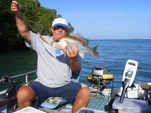 North Queensland Fish - Caught by Terry Ellwood