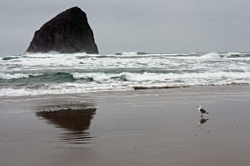 The "other" Haystack Rock