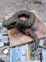 Process of Painting Snake 9