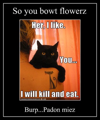 funny-pictures-cat-threatens-to-kill-and-eat-you