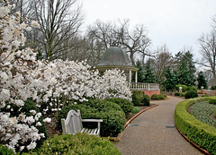 Boxwood Garden