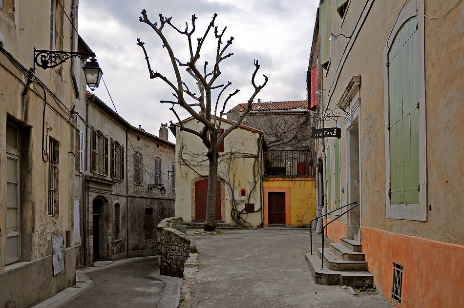 Camargue Provence