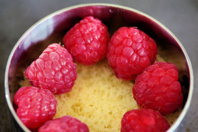 raspberries on sponge cake 8133 R