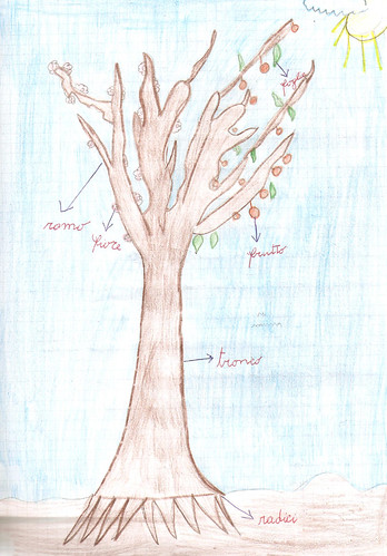 albero disegnato alla primaria