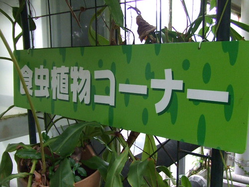 広島市植物園  画像 41