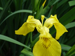 newcamera 018