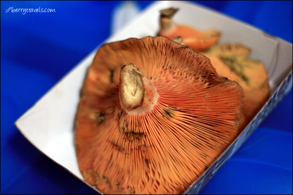 Mushroom preserves recipes