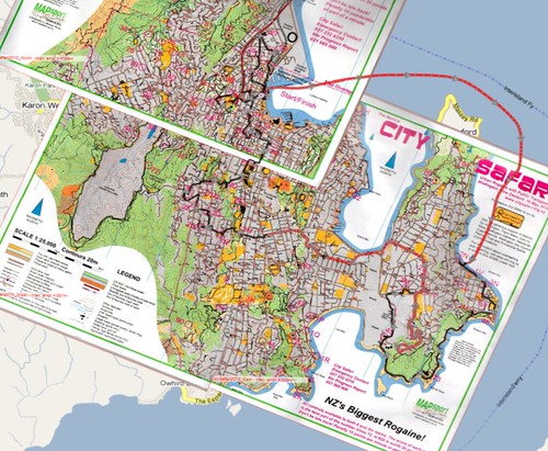 City Safari Map