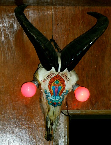 Yak skull with... Light bulbs?