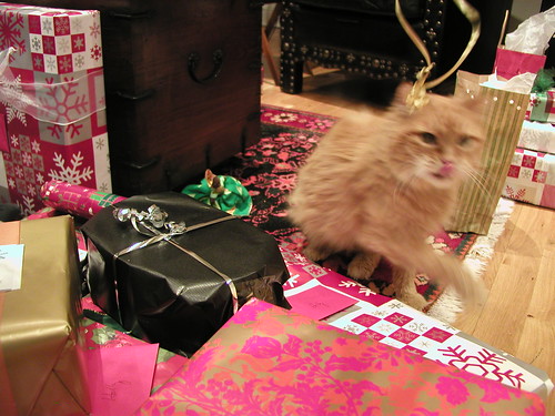 Sweet Kitty opens packages 1209 006